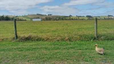 One of my favourite clips of my girls