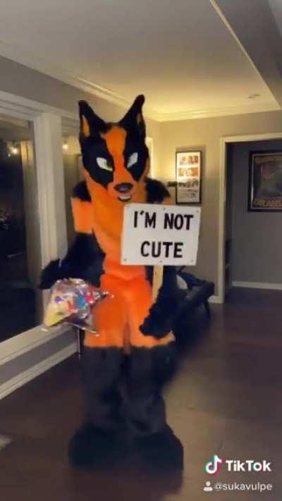 Ferocious isn't the word i'd use...