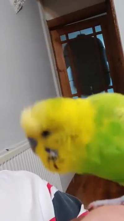 Pudge singing and dancing 🕺