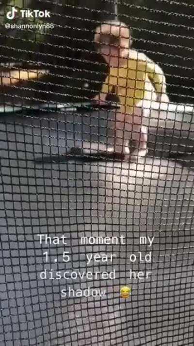 When it sees it's shadow for the first time