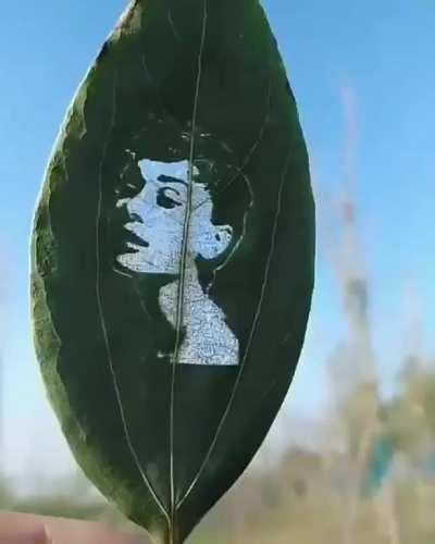 Portrait on a Leaf