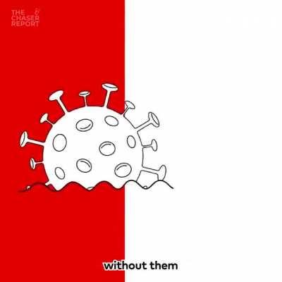 The Chaser's Bunnings NSW ad