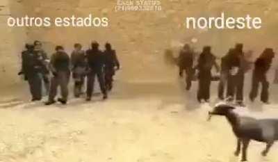 Verdade isso? kkkkkkkkkkkk