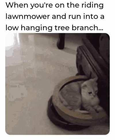 It's ok... I've taken wood to the face before!