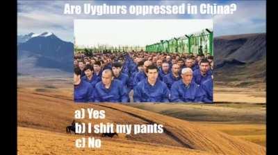 Most democratic government in Central Asia