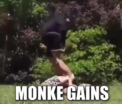 MONKEY GAINS 💪😤