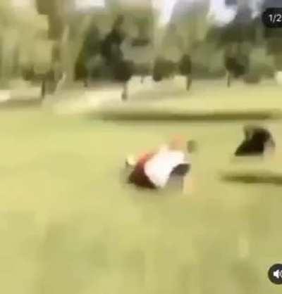 FightsGoneWildpt2 - Video #1755