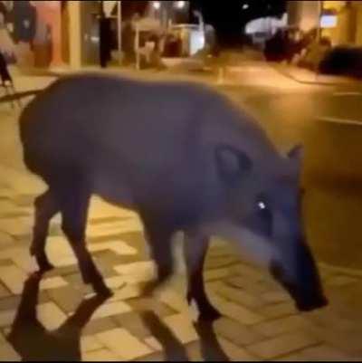 wtf why did she say that