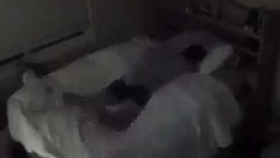 Have camera set up in my bedroom to watch my pets when at work. This time i was asleep.