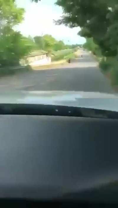 Two children crash a stolen van