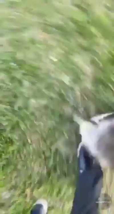 POV: You're a boss in the shadow lands