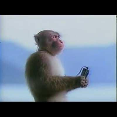 Szűzvarázsló kanosrendőrség