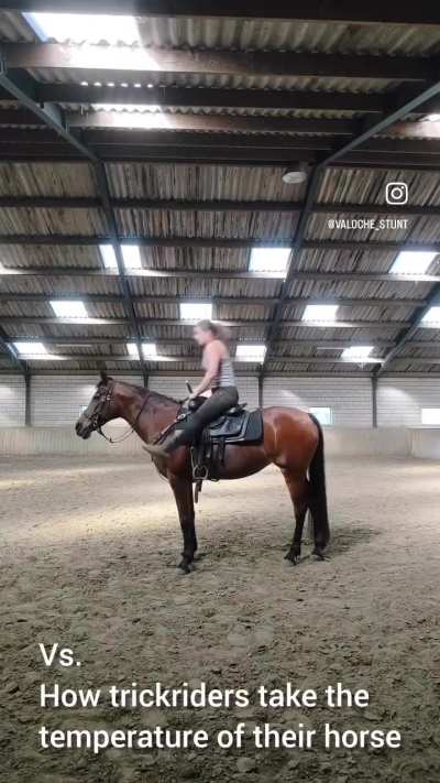 Horse girls are something else