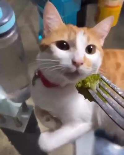 Sniffing the broccoli