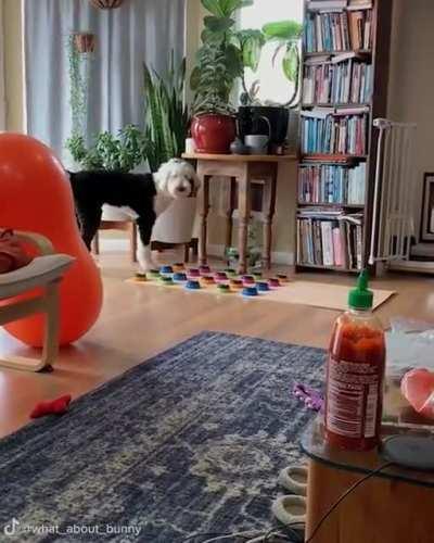 Such a sweet and talkative pup