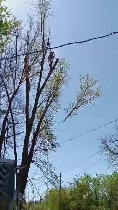 When life aligns perfectly, even if just for a moment!