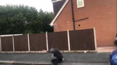 chav comedy gold