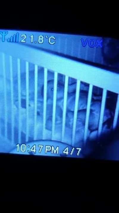 I.. I think I need an exorcist