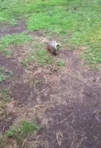 When fate gives you another chance