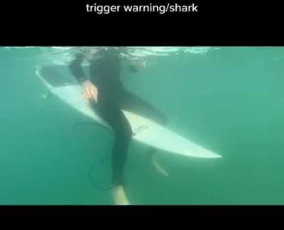 I was really waiting for it