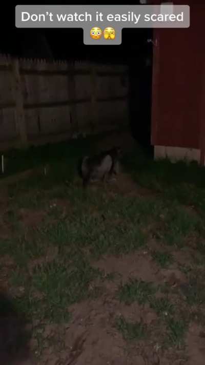 Video scared the shit out of me second time around 😂😂