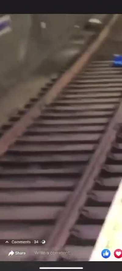 Can’t get much closer than that! Wow!