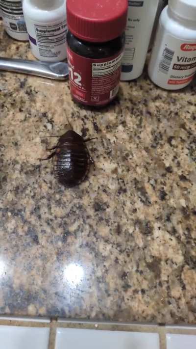 Nervous system malfunction after molting?