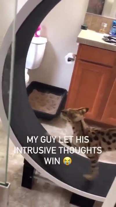 Jump back kick back whip around and spin!