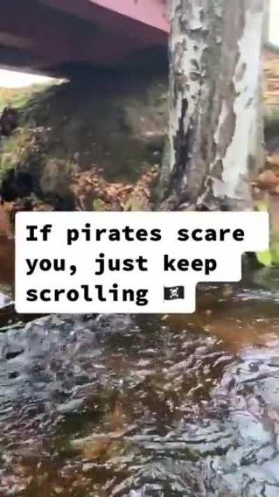 If pirates scare you, just keep scrolling...