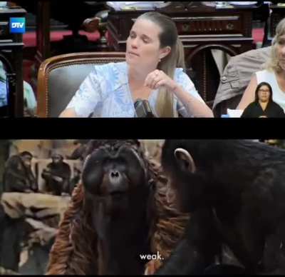 Encuentras las diferencias