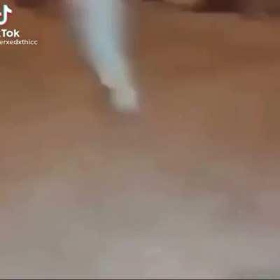 rat on lane boy time today