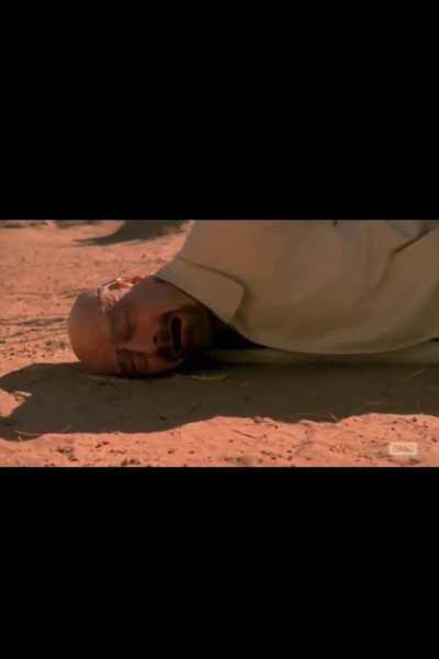 THE FUNKY TOWN KITTEN HAS DIED