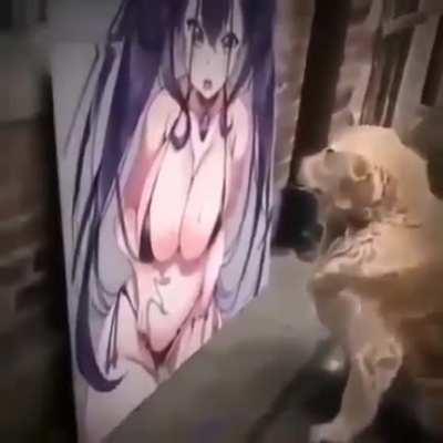 What da dog doin? 😂😂😂😂😂😂😂😂🐕😂🐕😂🐕😂🐕😂🐕🐕😂🐕😂🐕😂🐕😂🐕😂🐕😂🐕😂🐕😂🐕😂🐕😂🐕🐕🐕😂🐕😂🐕