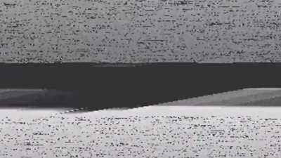 The Most Wholesome Plush Toy!