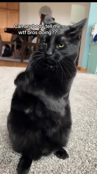 Sir...