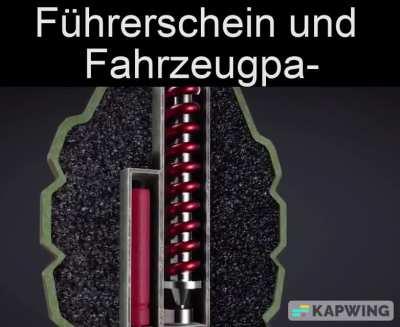 Ich wenn Kontrolle😎👍