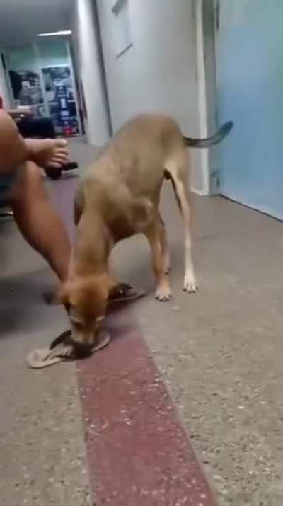 My flip-flop people need me.