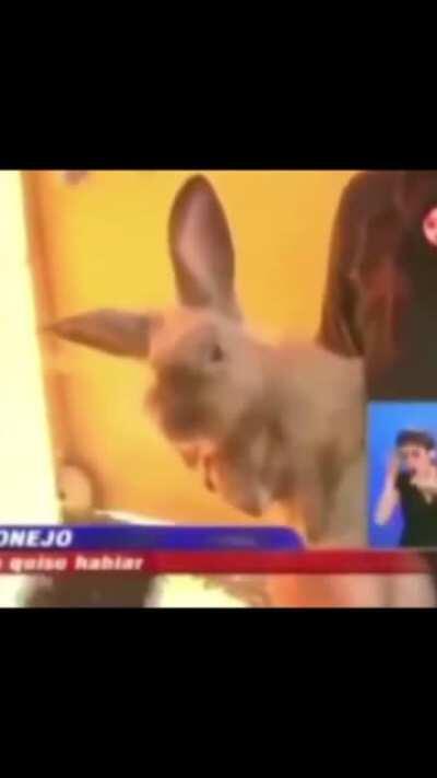 Noticiero de calidad