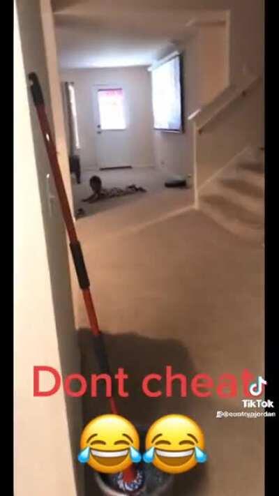 Ok TikToks r forbidden from the Reddit but lil nigga was mad ash