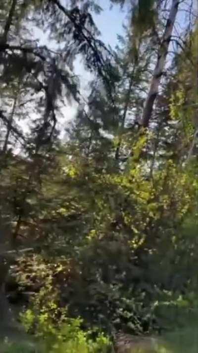 Guys just chillin in the car