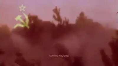 I think this is funny upvote if you think it's funny as well.