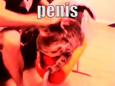 nonstop nut november