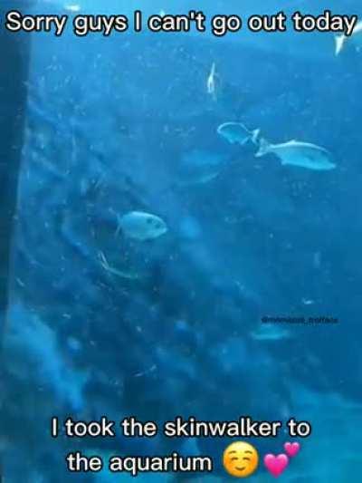 I love my skinwalker