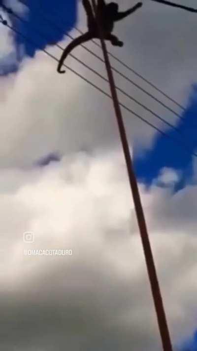 ESTILOZAP - Video #0672