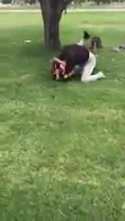 ragdolled and beatdown..