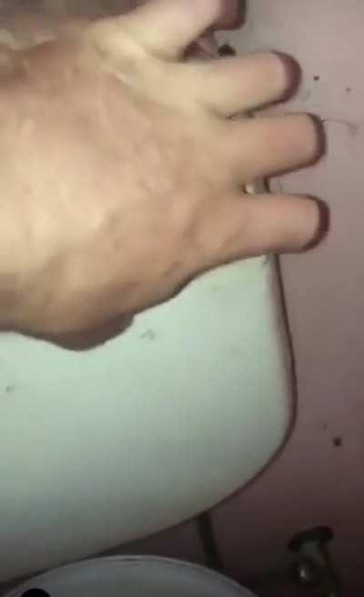 Average French toilet