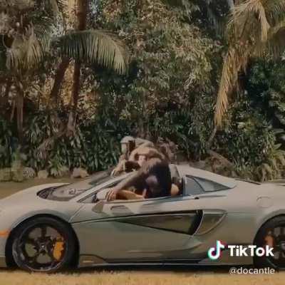 Los panas en el McLaren