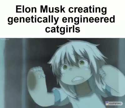 Scientific triumph rule