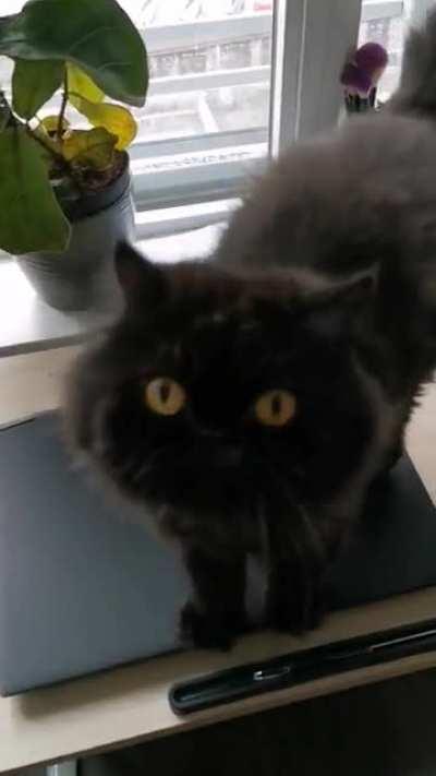 I get a stern lecture whenever I'm home late