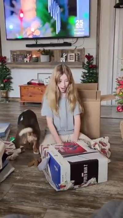 Dog claims its dominance